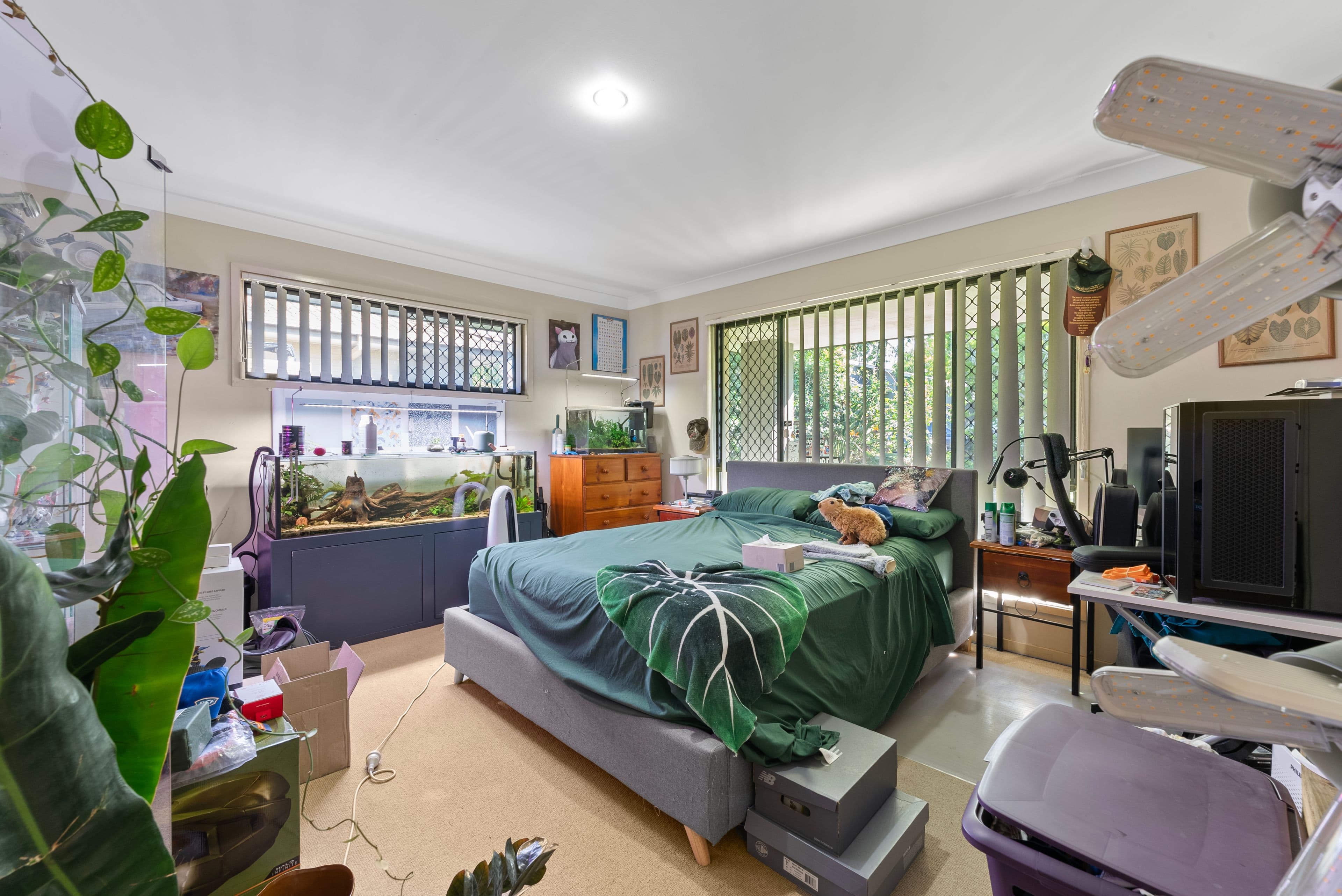 33 Witheren Circuit, Pacific Pines QLD 4211, Pacific Pines - Thumbnail 6