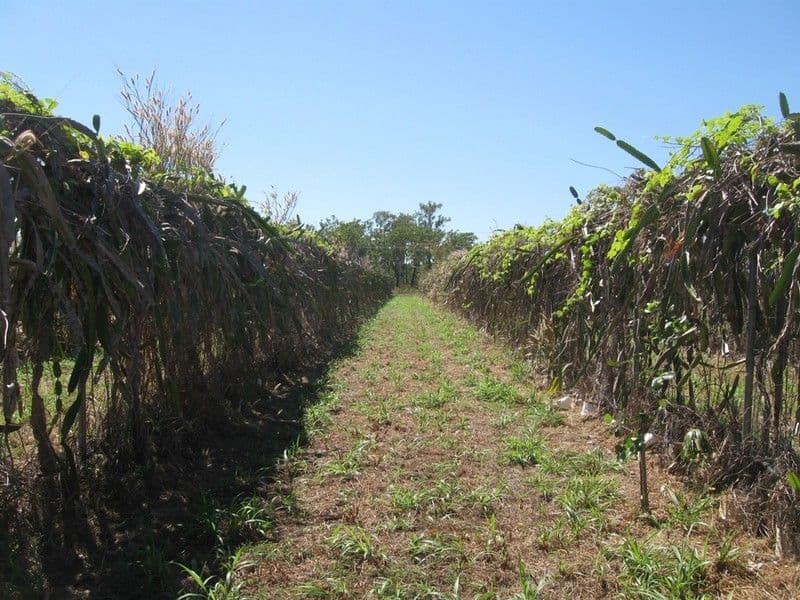 Lot 5301, 178 McGorrie Road, MARRAKAI NT 0822, Marrakai - Thumbnail 6