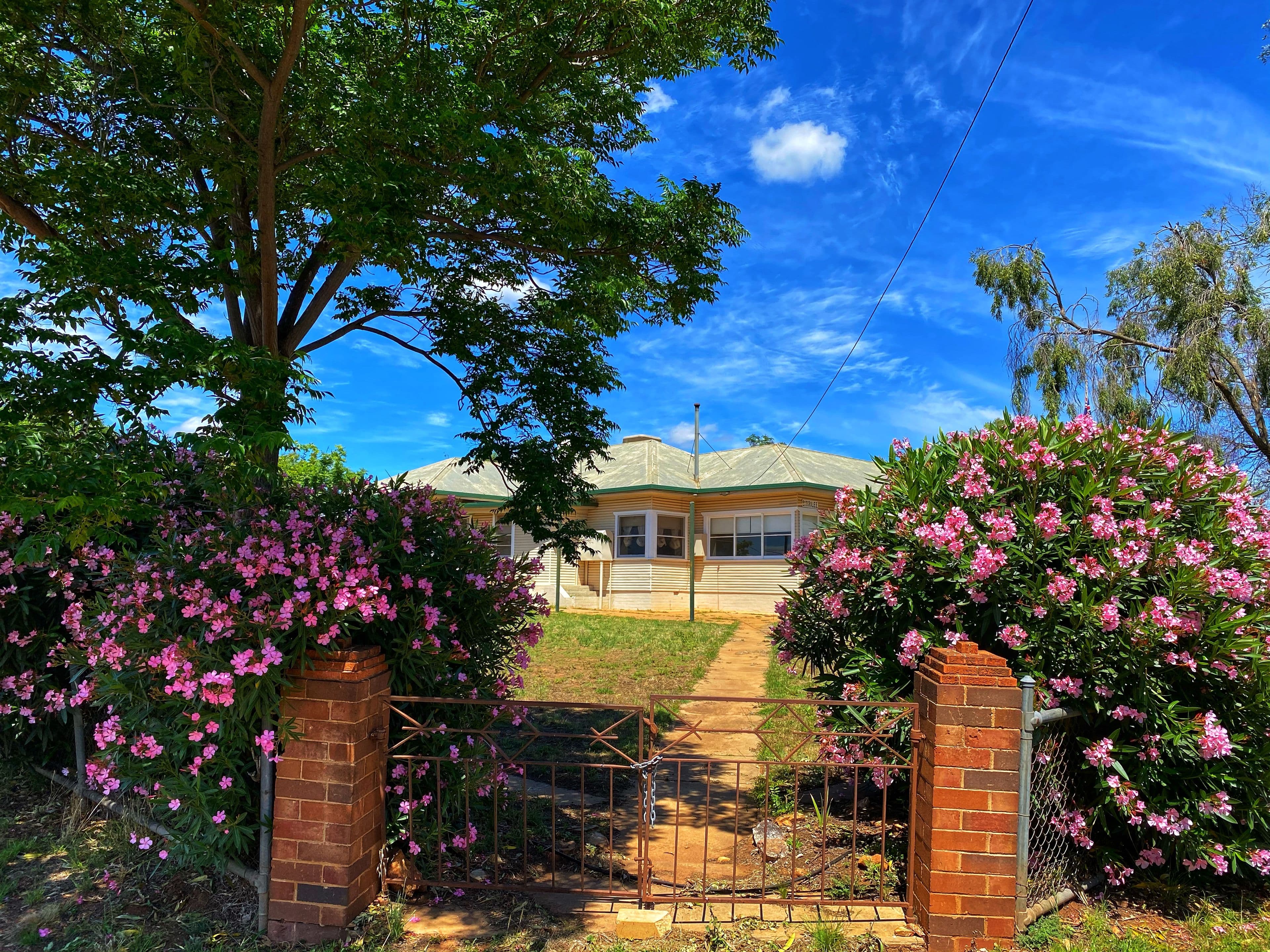 18 Gatenby Street, Condobolin NSW 2877, Condobolin - Thumbnail 3