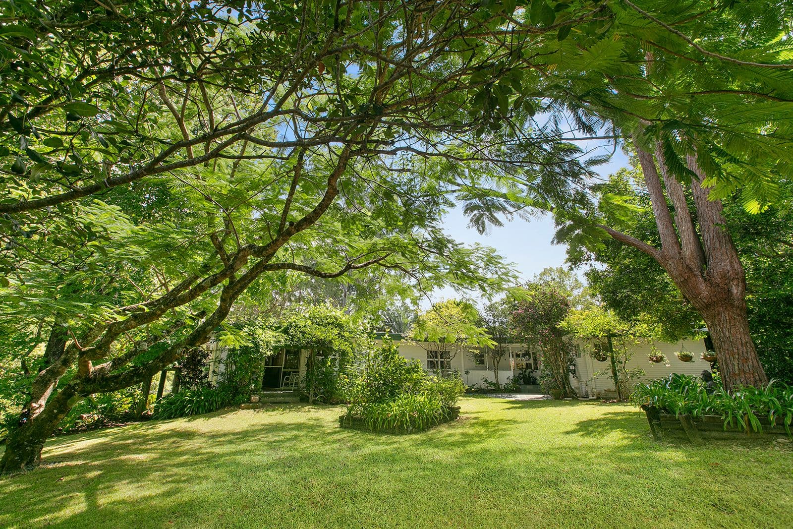 407 Ilkley Road, Ilkley QLD 4554, Ilkley - Thumbnail 2