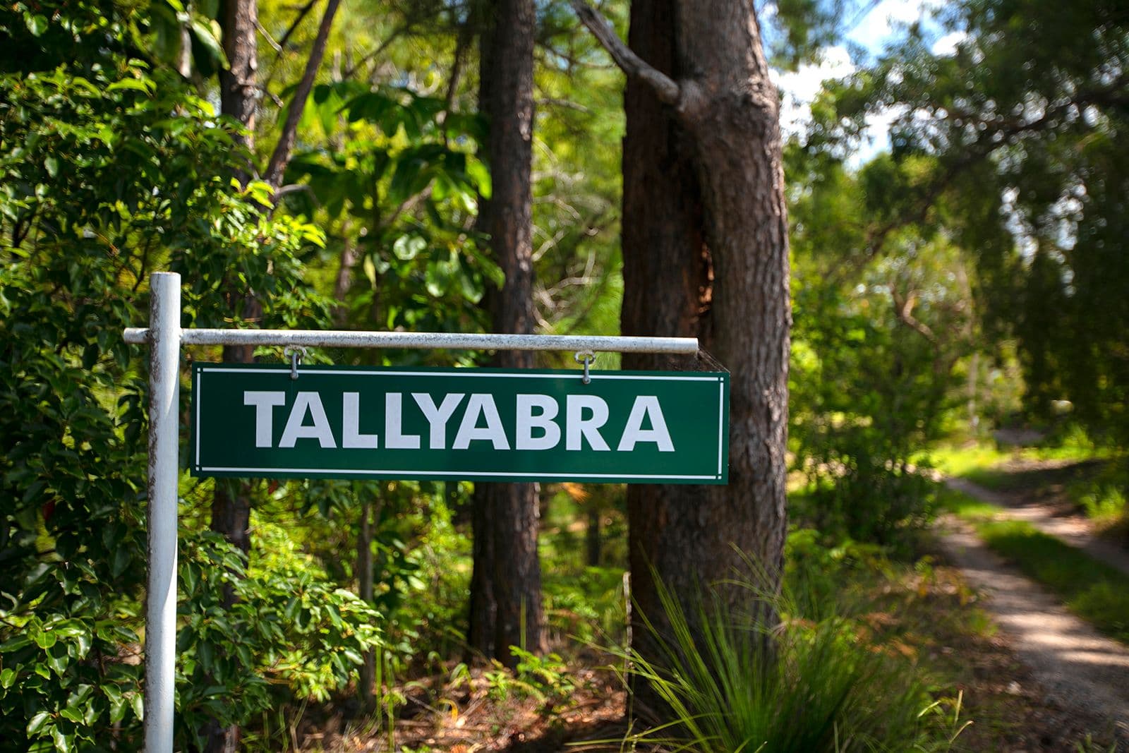 407 Ilkley Road, Ilkley QLD 4554, Ilkley - Thumbnail 4