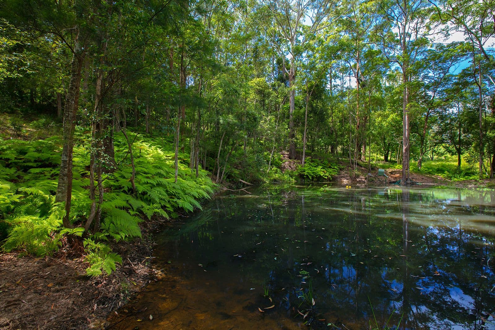 407 Ilkley Road, Ilkley QLD 4554, Ilkley - Thumbnail 7