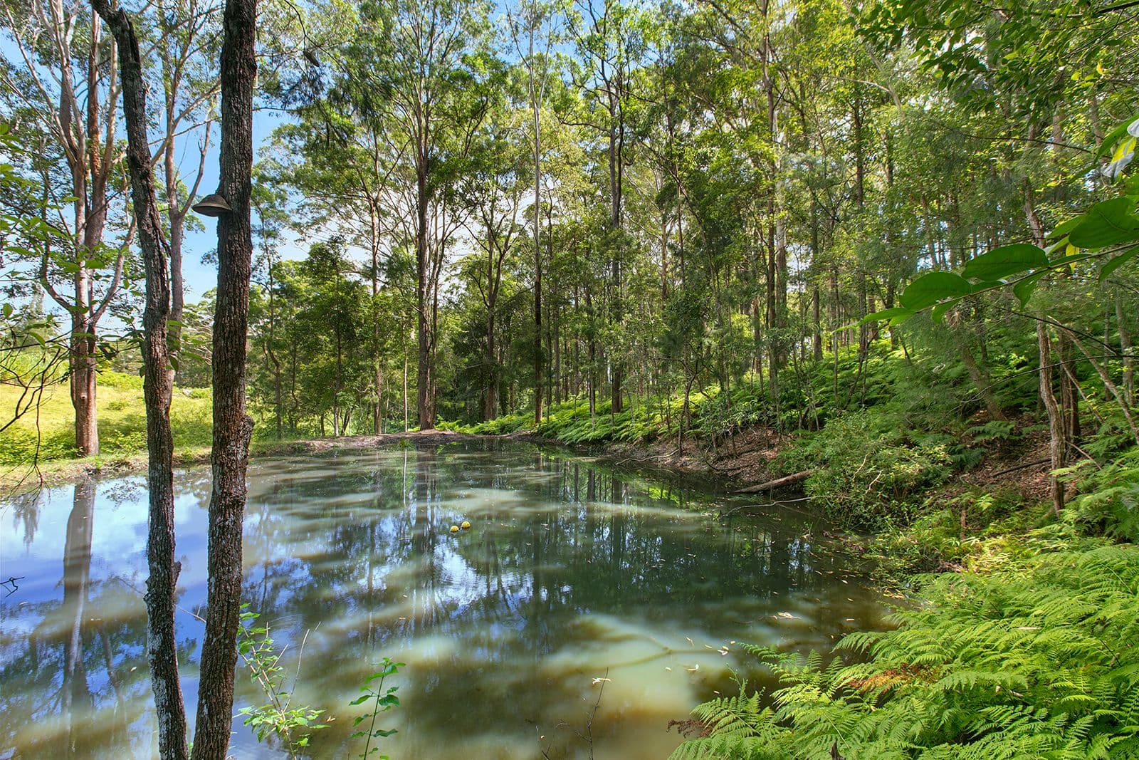 407 Ilkley Road, Ilkley QLD 4554, Ilkley - Thumbnail 8