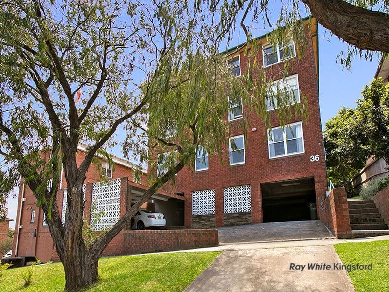 36 Meeks Street, Kingsford NSW 2032, Kingsford - Thumbnail 8