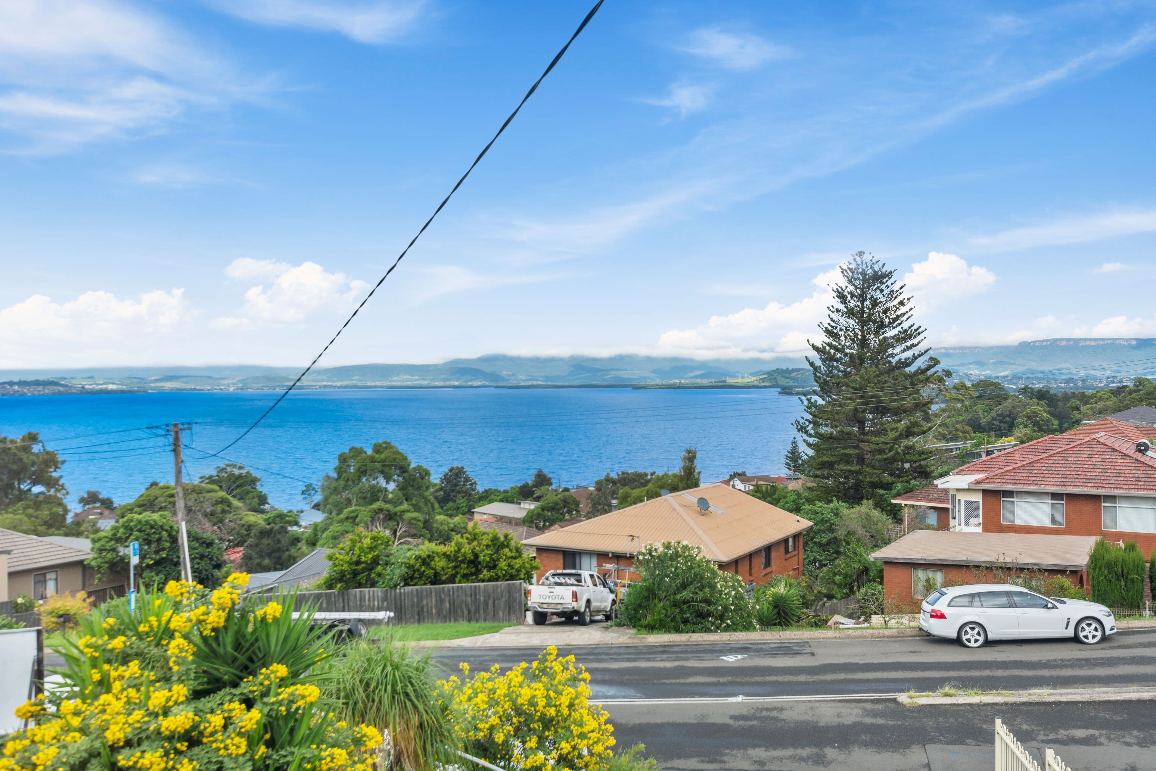 85 Lake Heights Road, Lake Heights NSW 2502, Lake Heights - Thumbnail 3