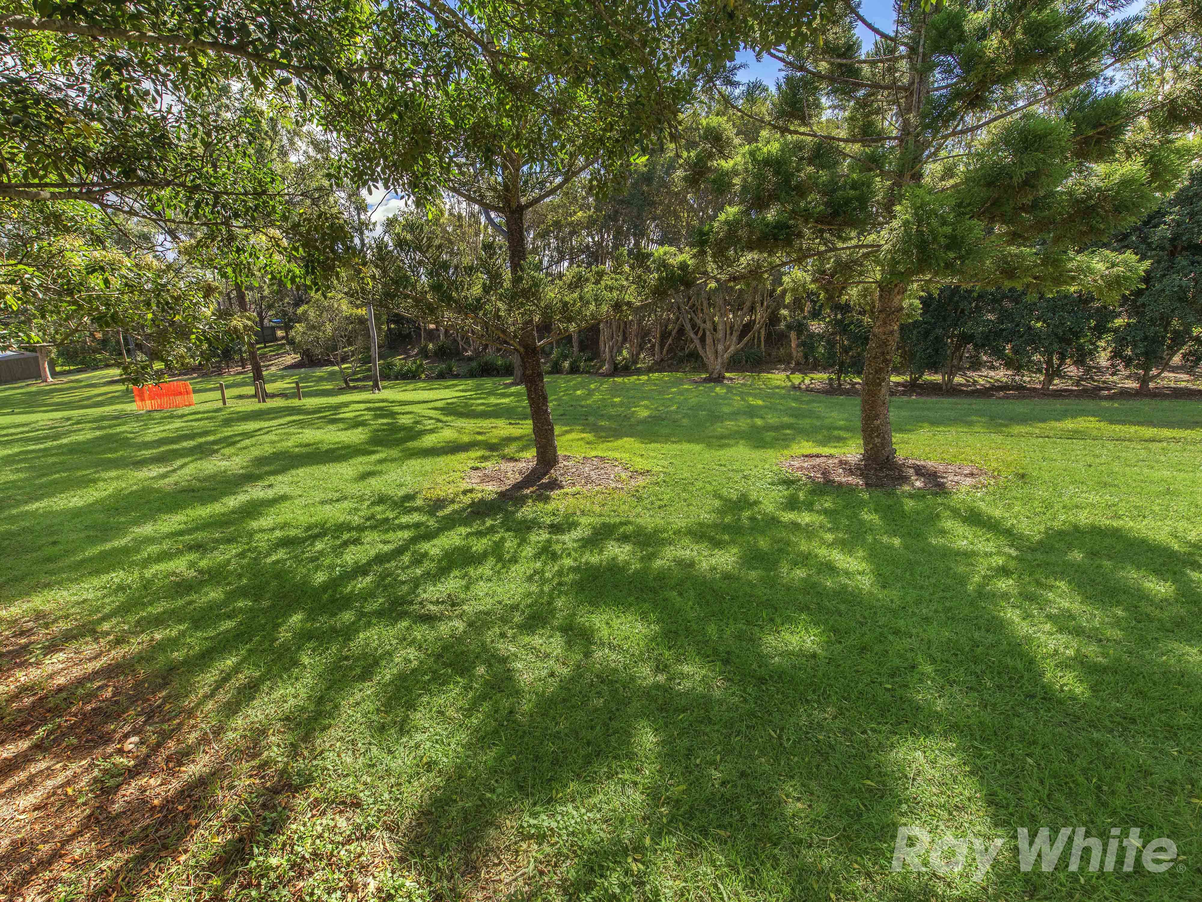23 Bermingham Street, Alderley QLD 4051, Alderley - Thumbnail 6