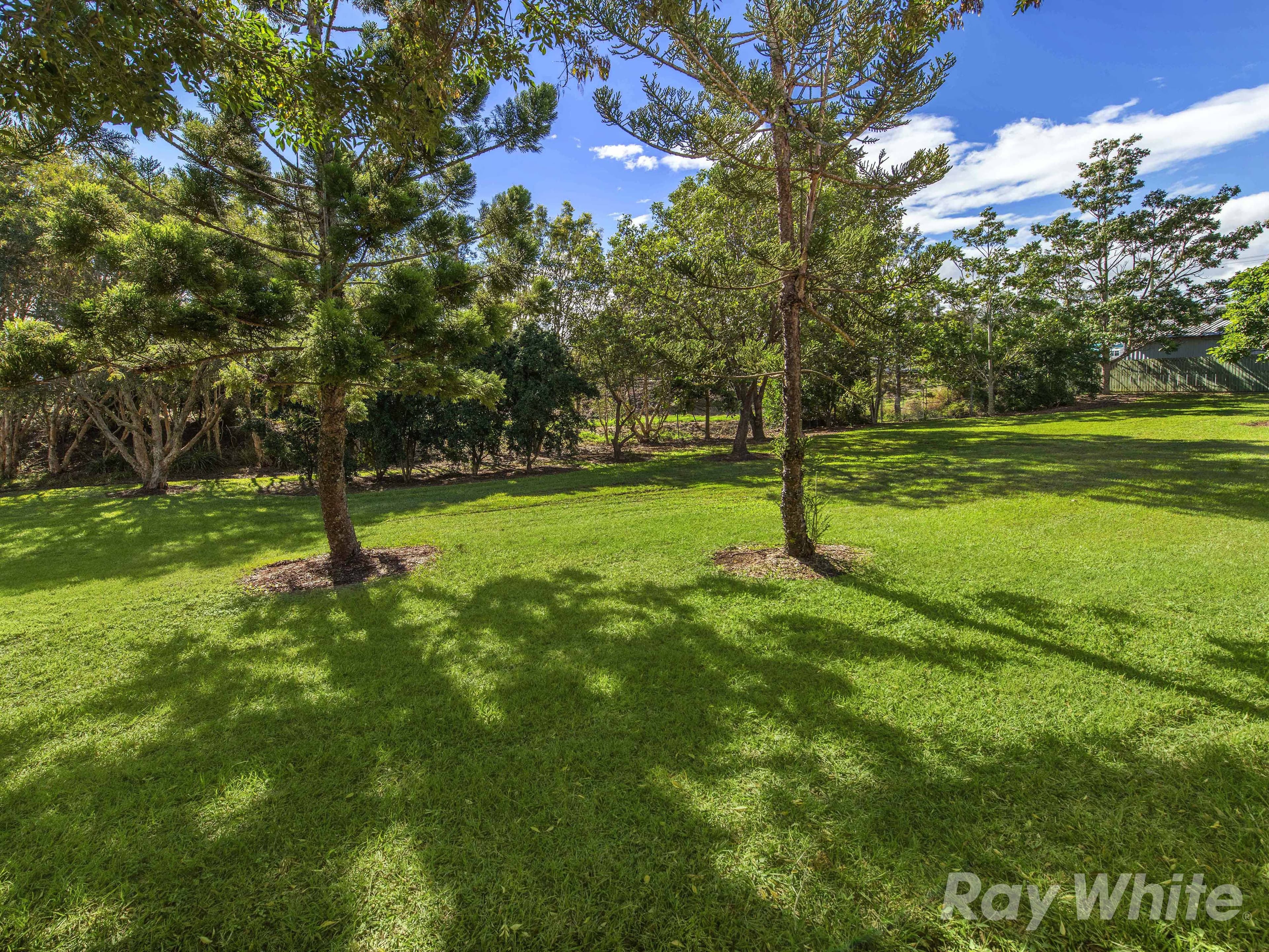 23 Bermingham Street, Alderley QLD 4051, Alderley - Thumbnail 7