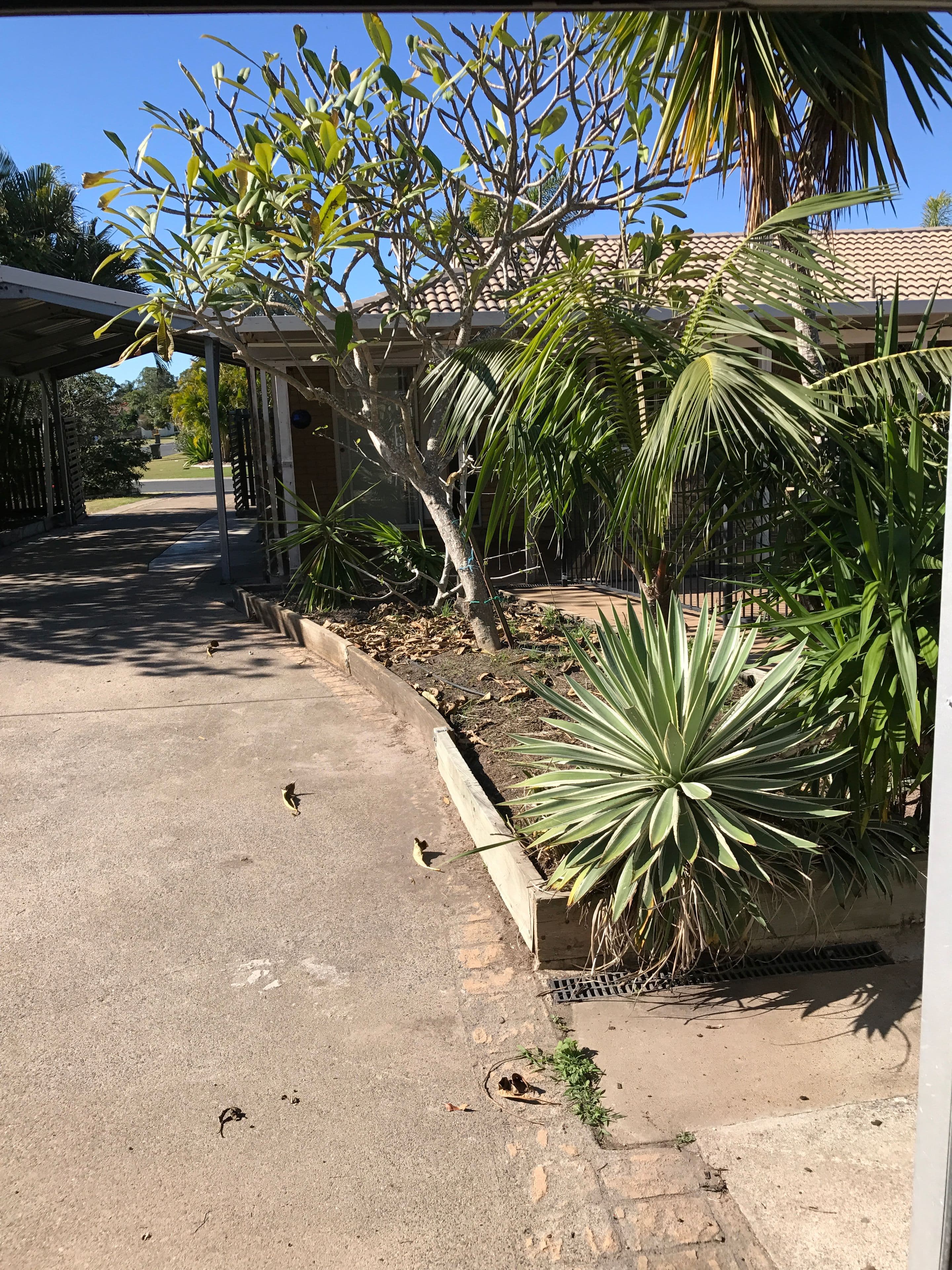 73 Ladbroke Crescent, Urangan QLD 4655, Urangan - Thumbnail 5