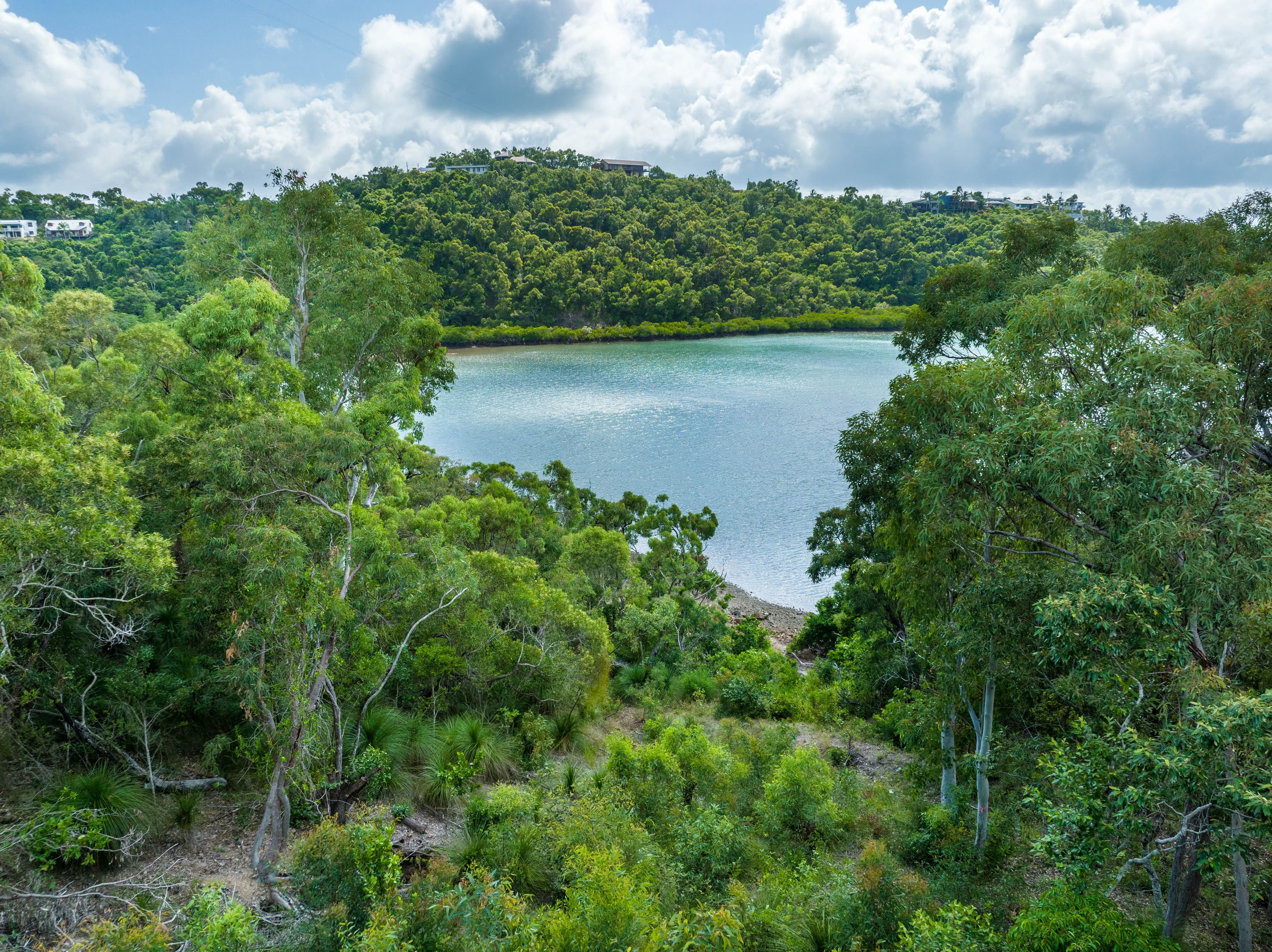 16 Bay Terrace, Shute Harbour QLD 4802, Shute Harbour - Thumbnail 7