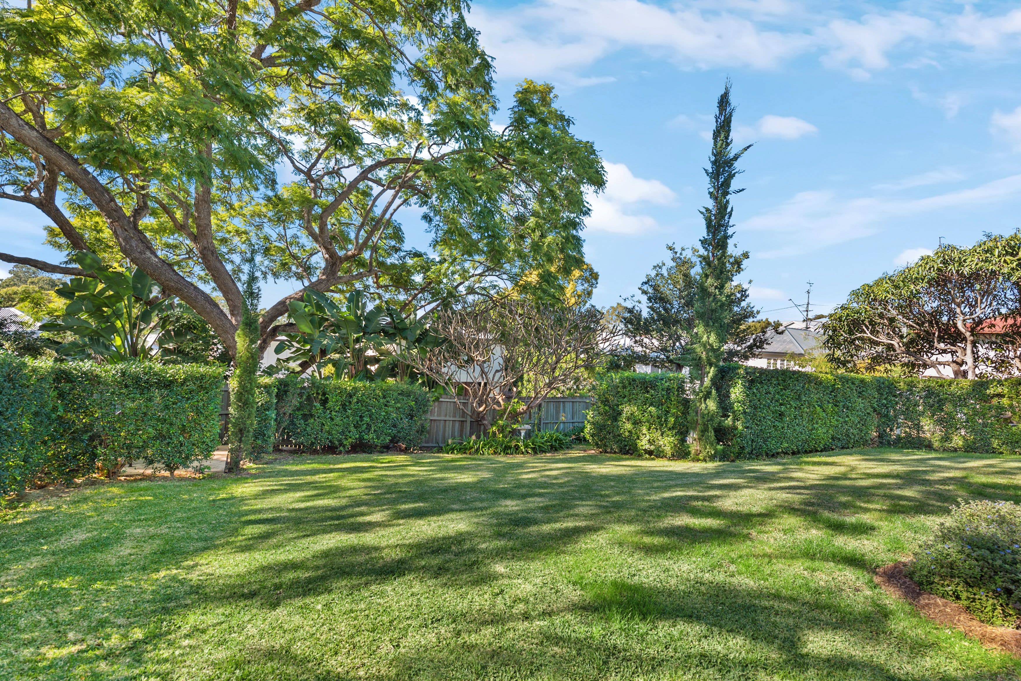 11 Welbeck Street, Alderley QLD 4051, Alderley - Thumbnail 7