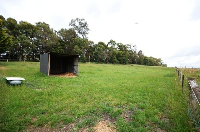 175-185 Beenak Road, Yellingbo VIC 3139, Yellingbo - Thumbnail 4