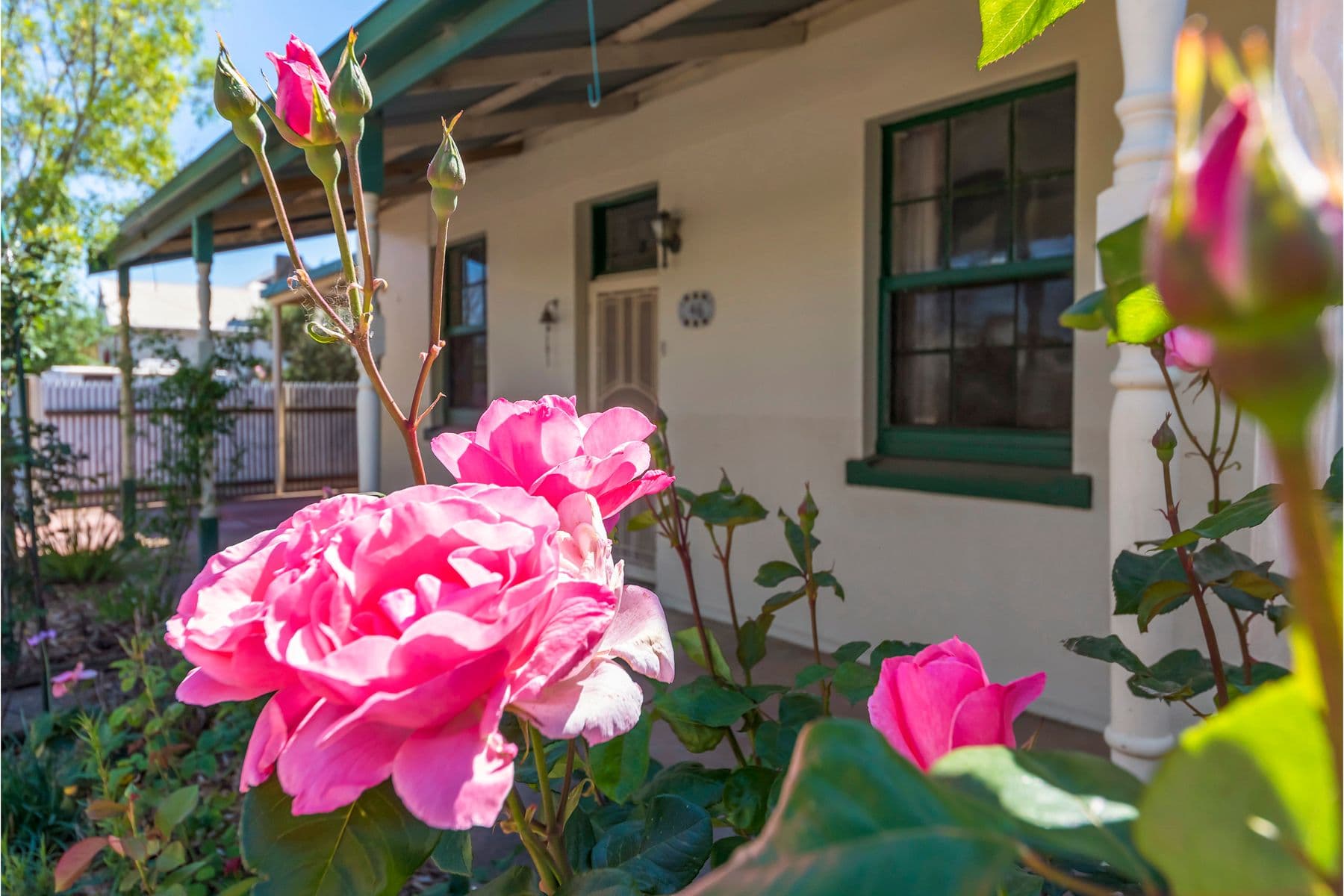46 Panter Street, Willaston SA 5118, Willaston - Thumbnail 2