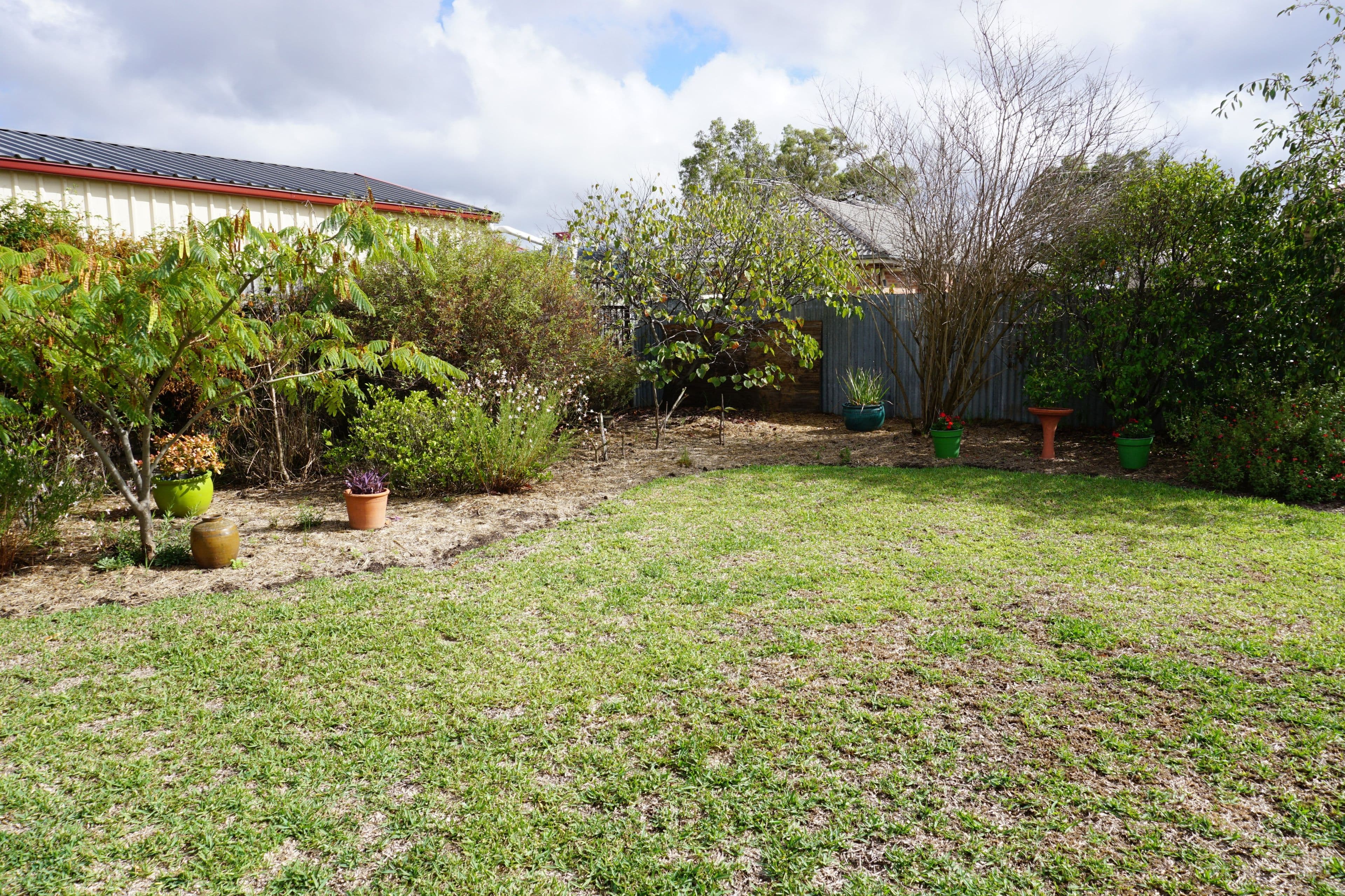 116 Casey Drive, Singleton NSW 2330, Singleton - Thumbnail 8