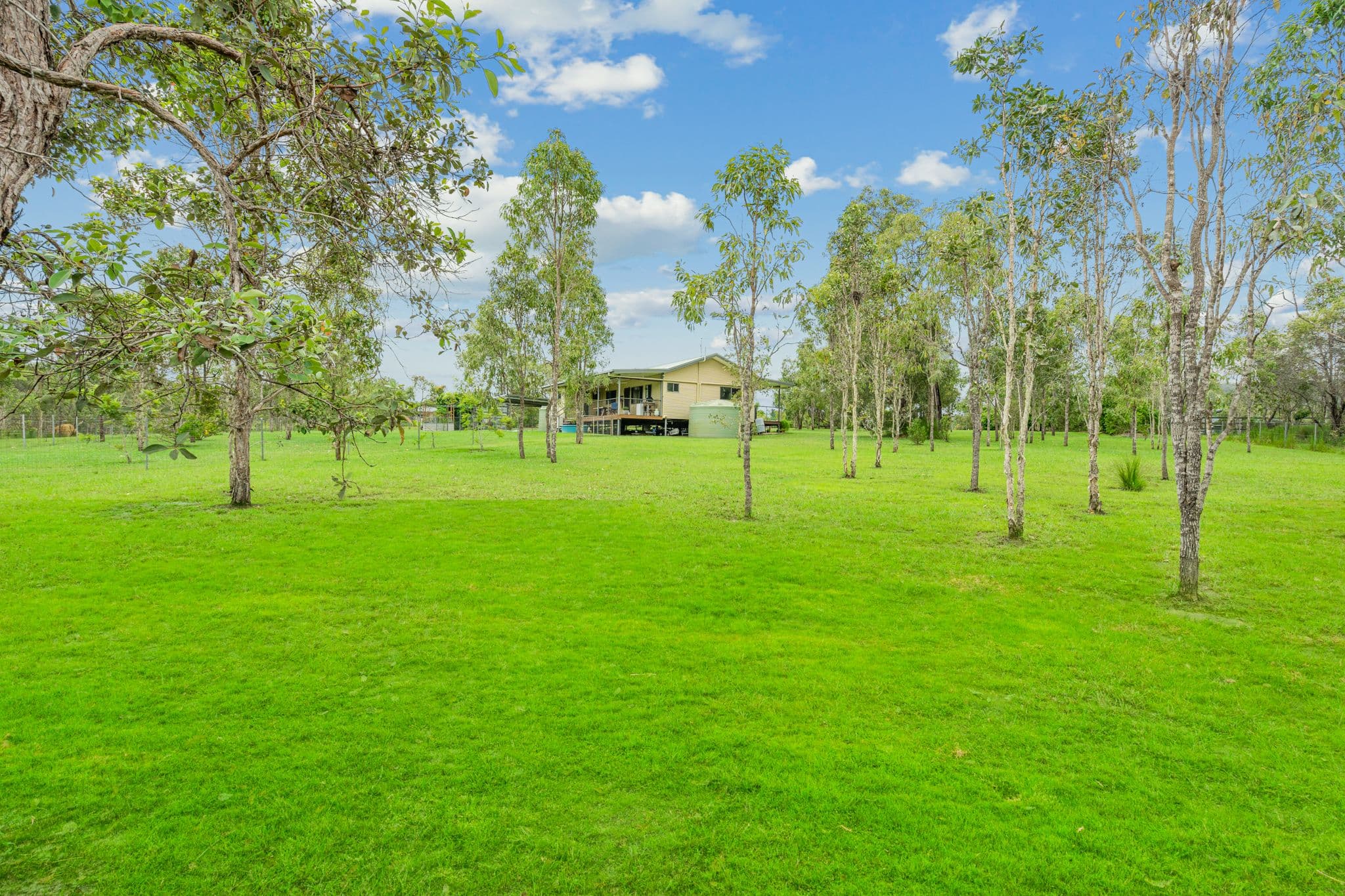 30 Natasha Close, Koah QLD 4881, Koah - Thumbnail 5