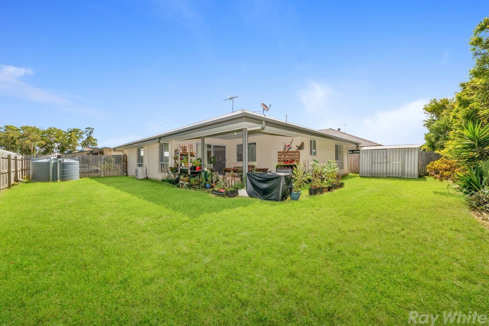 59 Cardinal Circuit, Caboolture QLD 4510, Caboolture - Thumbnail 2