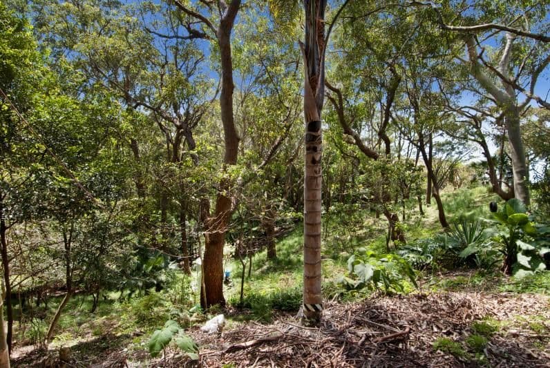 14 Lady Wakehrust Drive, OTFORD NSW 2508, Otford - Thumbnail 7