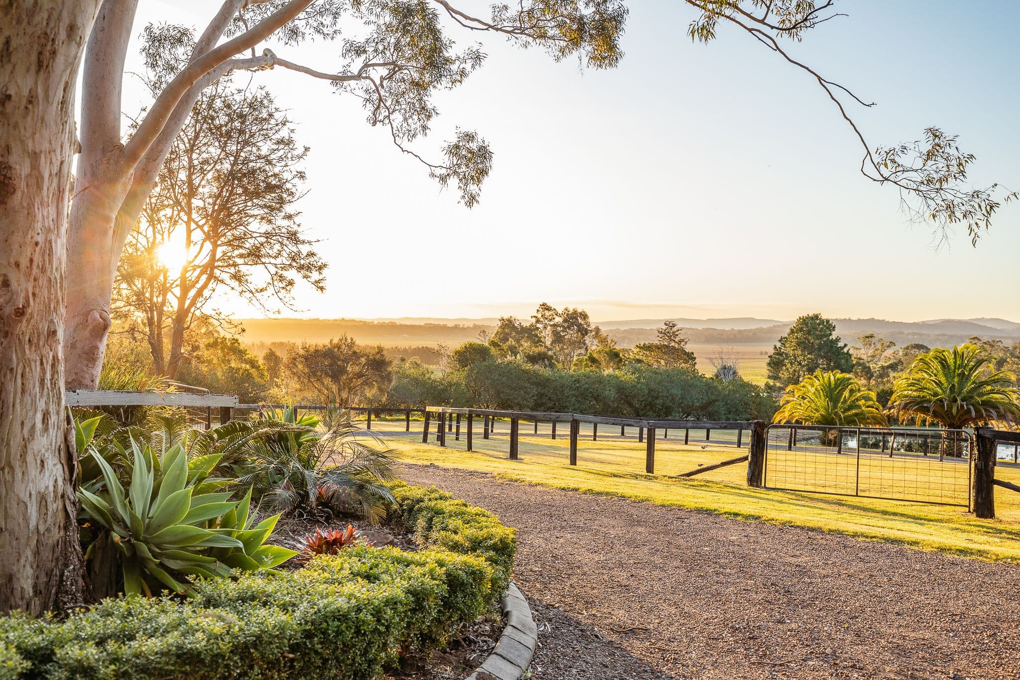 9 Warrigal Close, Brandy Hill NSW 2324, Brandy Hill - Thumbnail 2