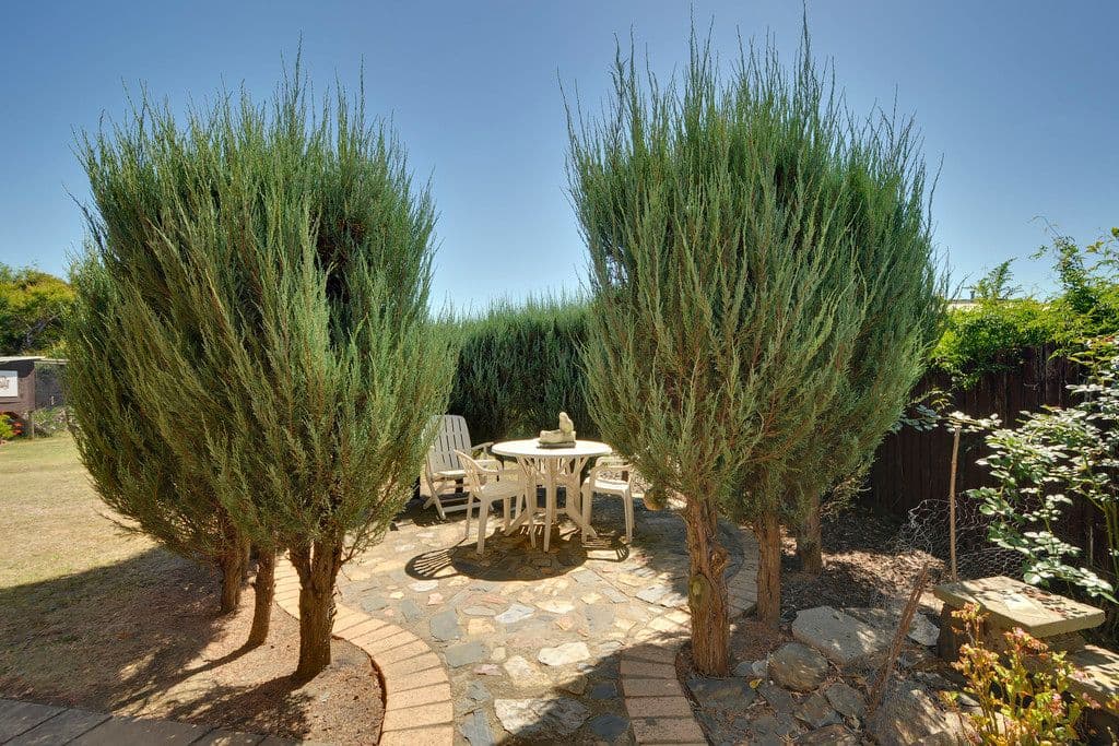 10 Firmin Street, Traralgon VIC 3844, Traralgon - Thumbnail 5