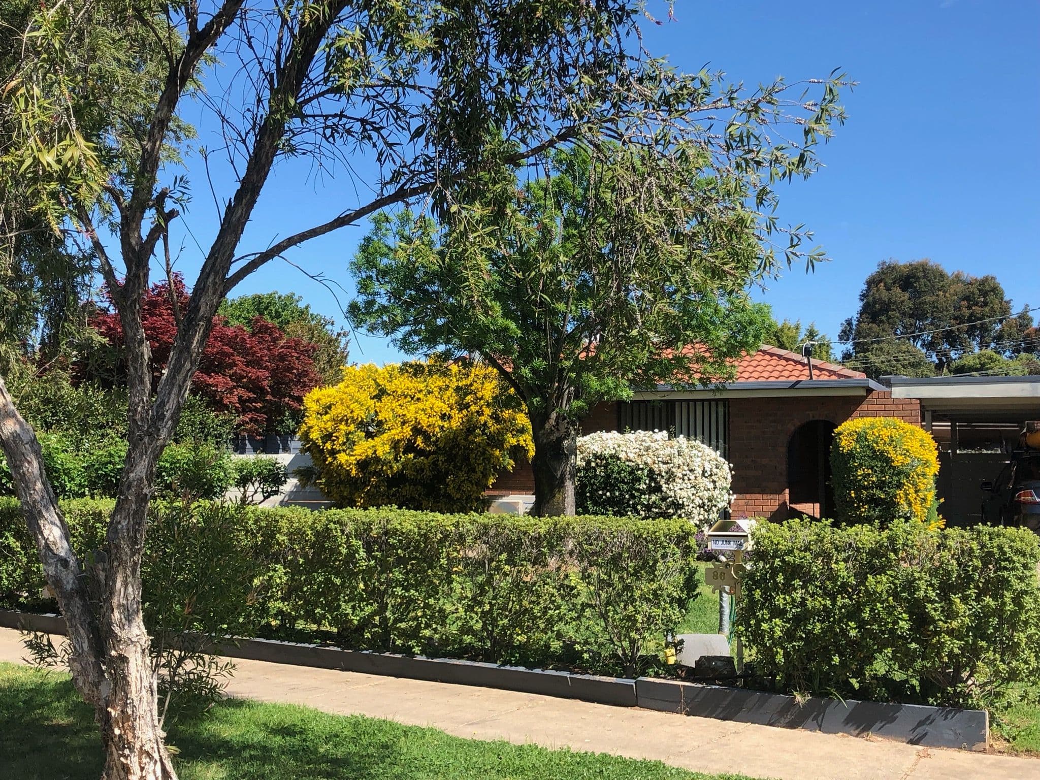 86 Monds Avenue, Benalla VIC 3672, Benalla - Image 1