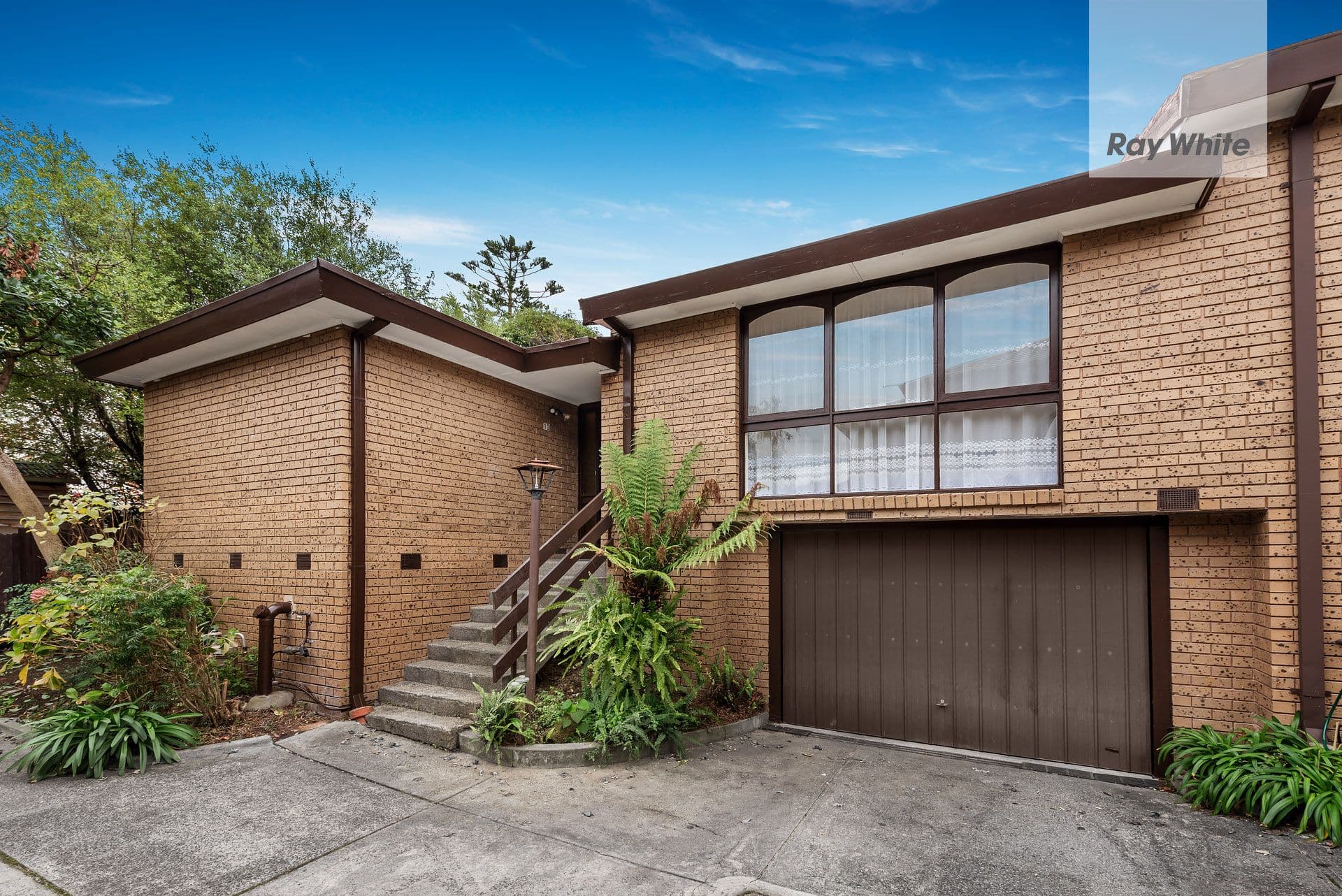 14-16 Broughton Road, Surrey Hills VIC 3127, Surrey Hills - Thumbnail 5