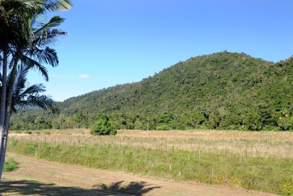 287 Patullo Road, NORTH GREGORY QLD 4800, North Gregory - Thumbnail 5
