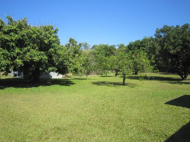 23 Badilla Street, EDMONTON QLD 4869, Edmonton - Thumbnail 5