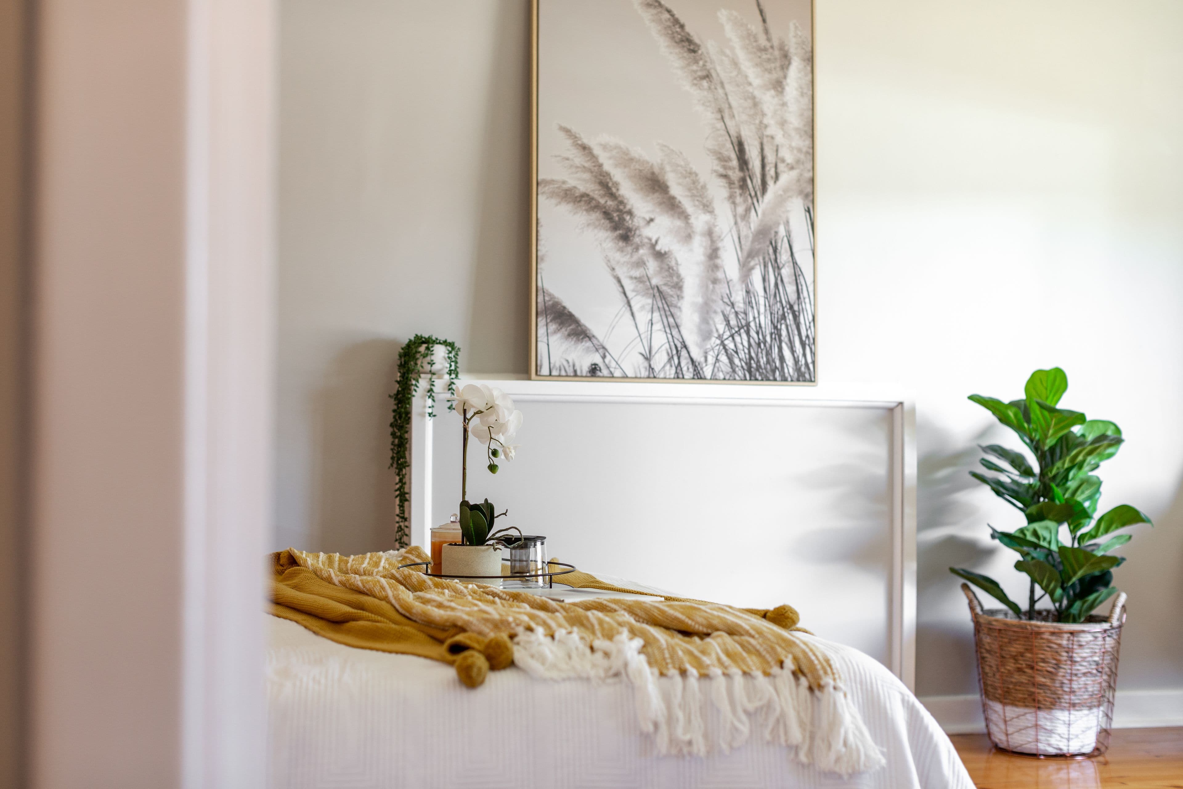 77 Wattle Avenue, Royal Park SA 5014, Royal Park - Thumbnail 4