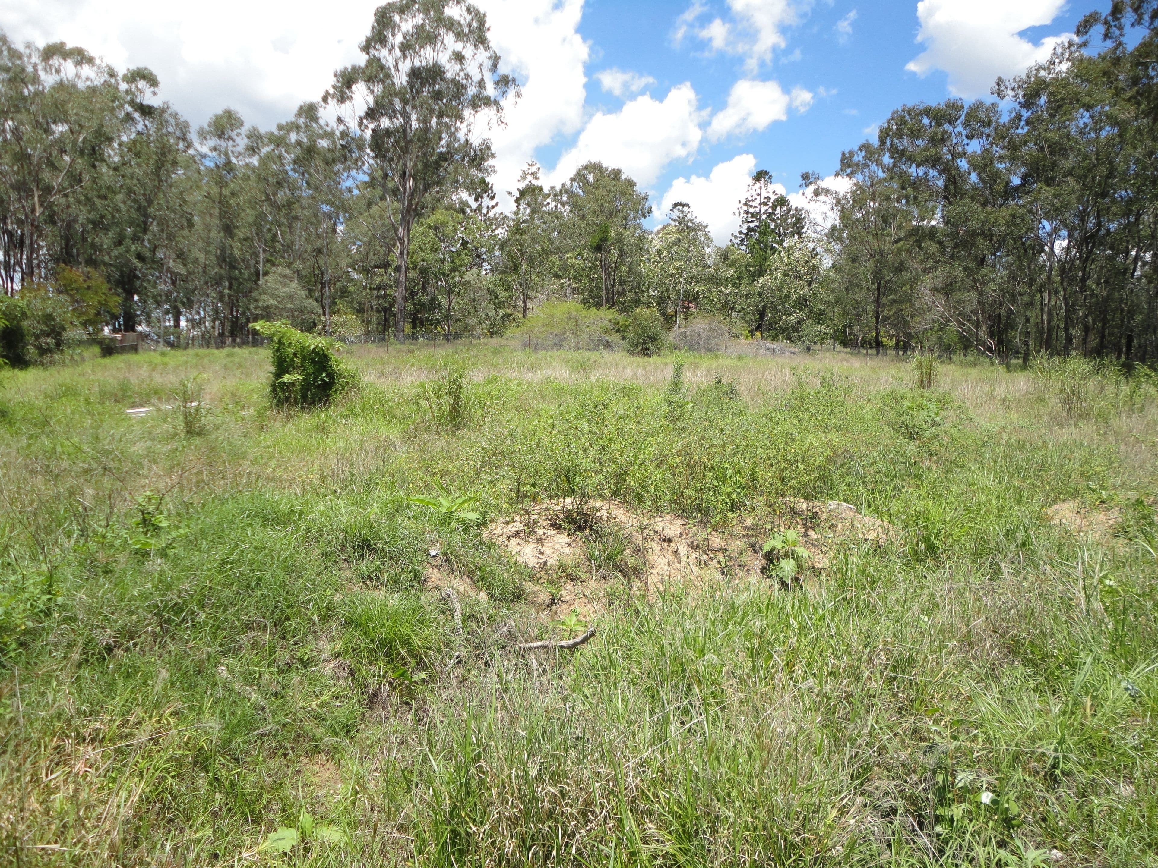 69A Albert Street, Goodna QLD 4300, Goodna - Thumbnail 6