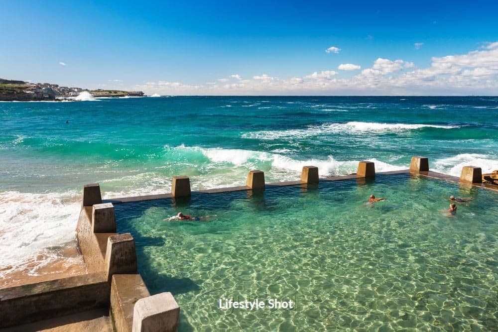260 Arden Street, Coogee NSW 2034, Coogee - Thumbnail 7