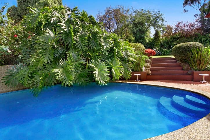35 Koolkuna Avenue, DONCASTER VIC 3108, Doncaster - Thumbnail 4