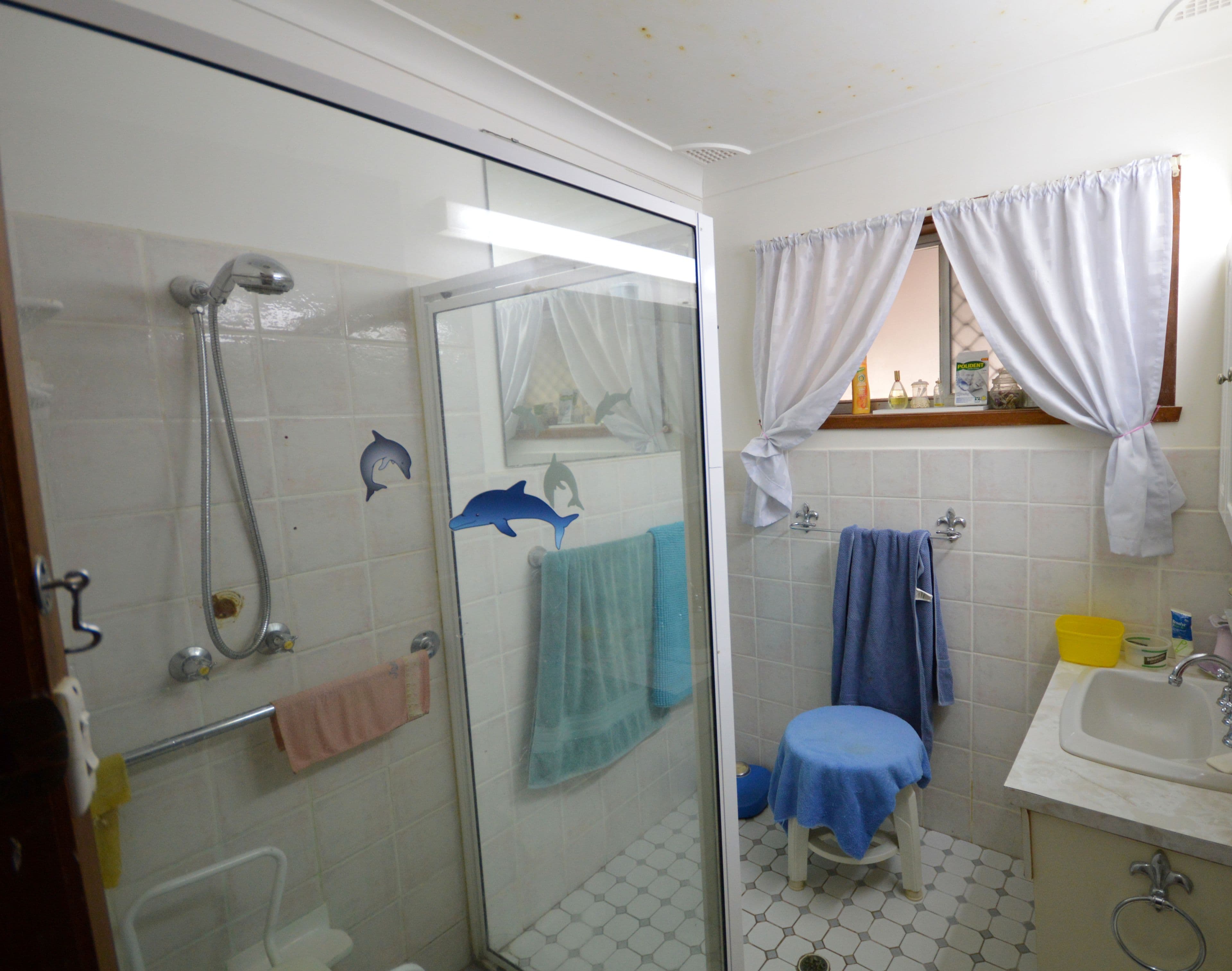 66 Rodd Street, Canowindra - Thumbnail 4
