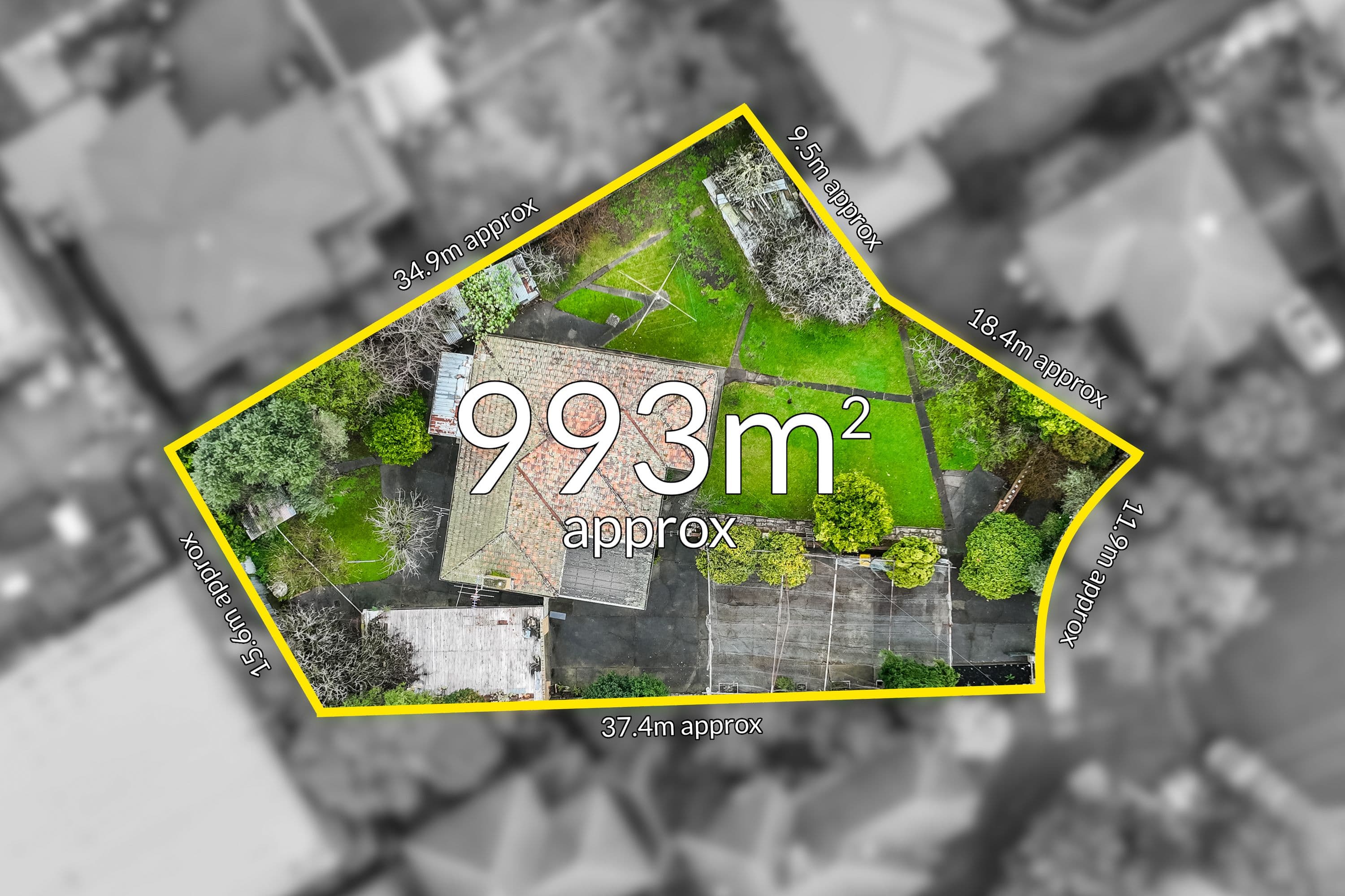 3 Adaleigh Court, Clayton VIC 3168, Clayton - Thumbnail 2