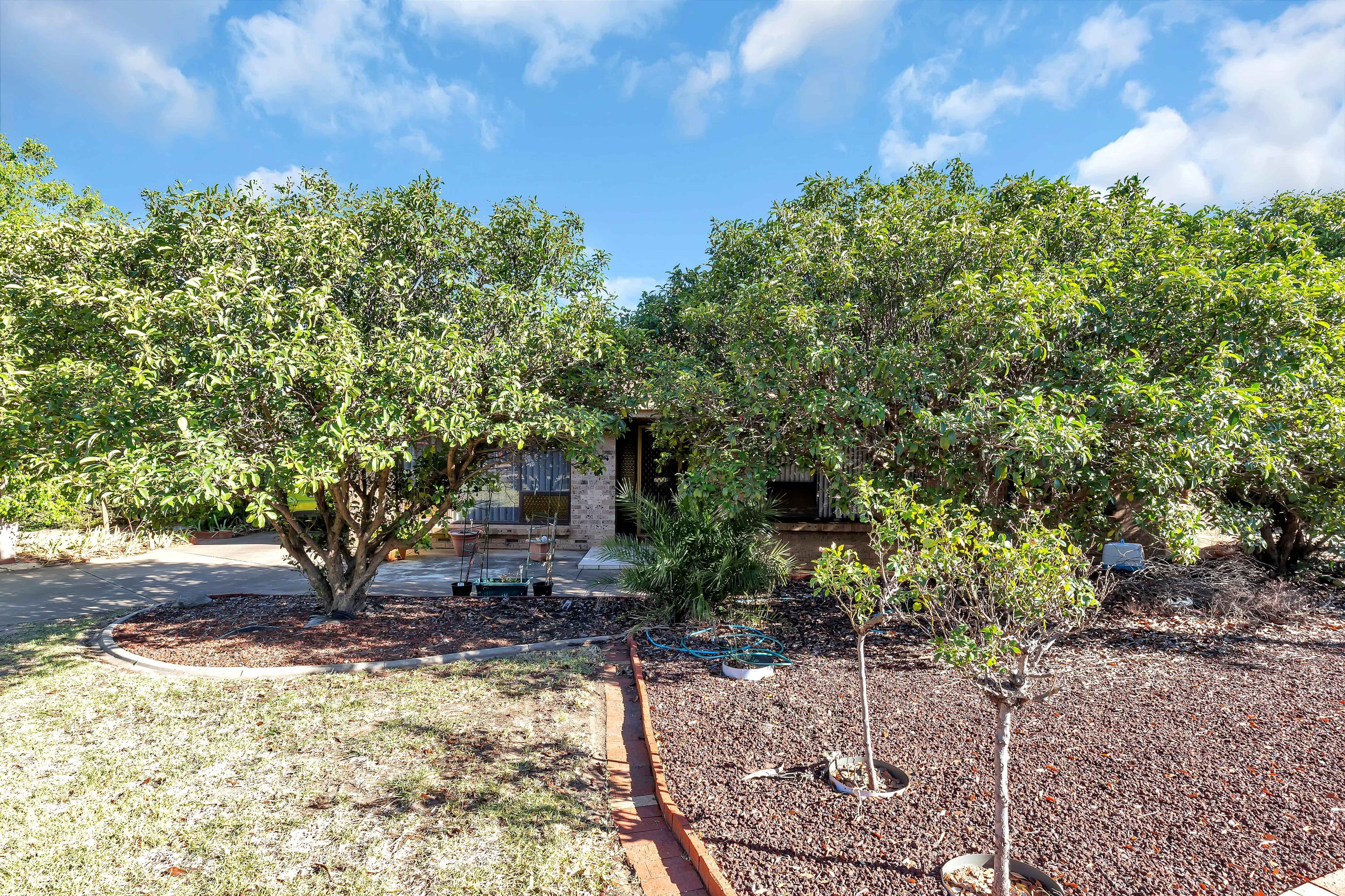 60 Welby Avenue, Salisbury East SA 5109, Salisbury East - Thumbnail 3