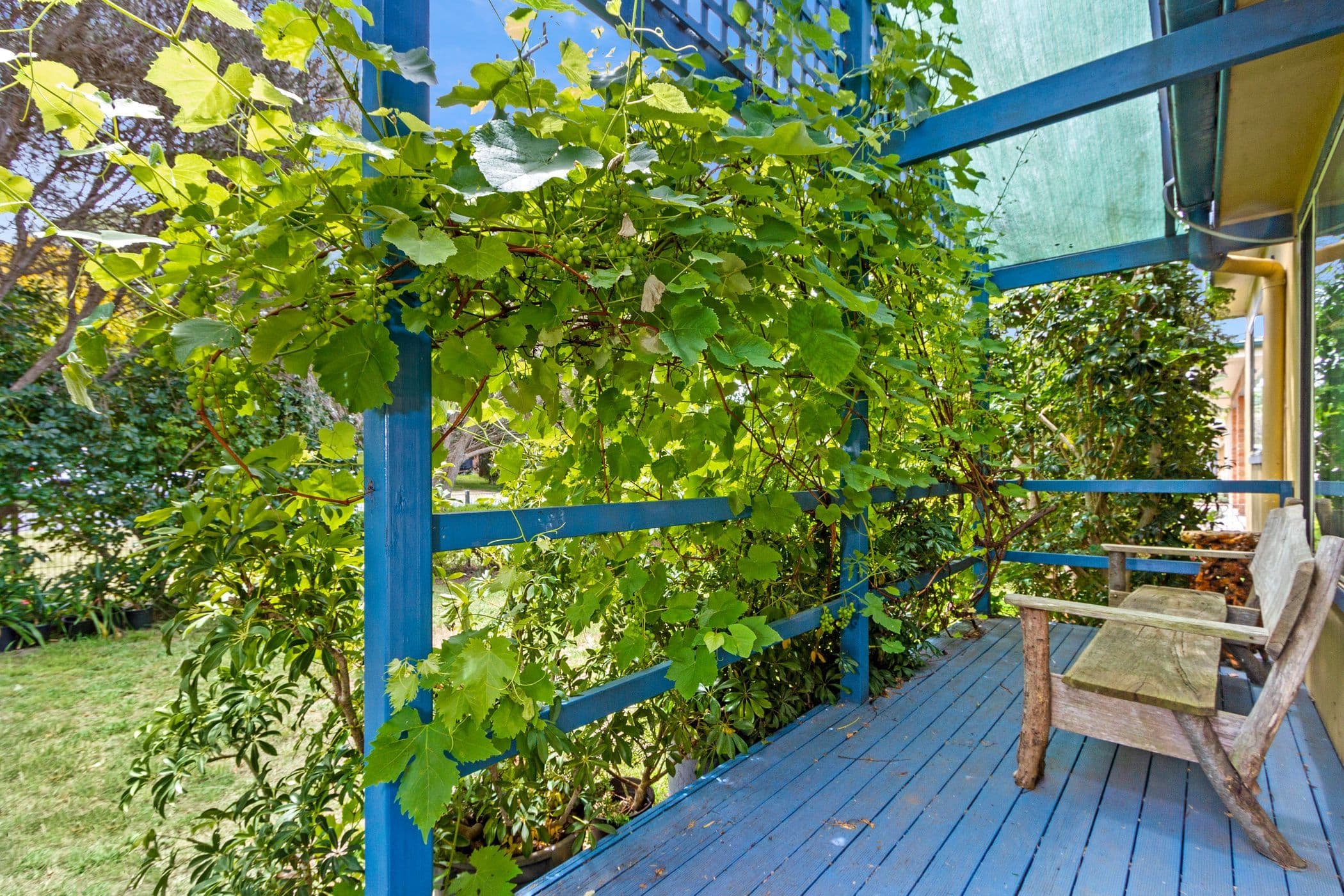 16 Clarke Street, Broulee NSW 2537, Broulee - Thumbnail 2