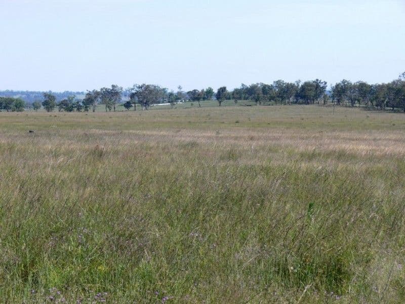 555 Derreen Road, WARWICK QLD 4370, Warwick - Thumbnail 3