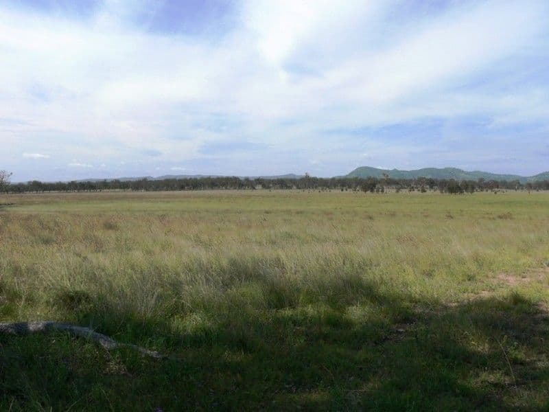 555 Derreen Road, WARWICK QLD 4370, Warwick - Thumbnail 4