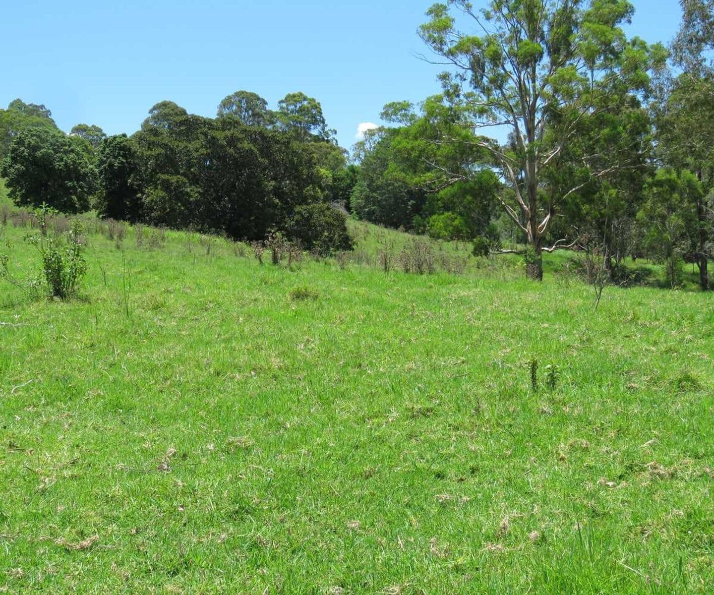 1 Razorback Road, Theresa Creek - Thumbnail 4