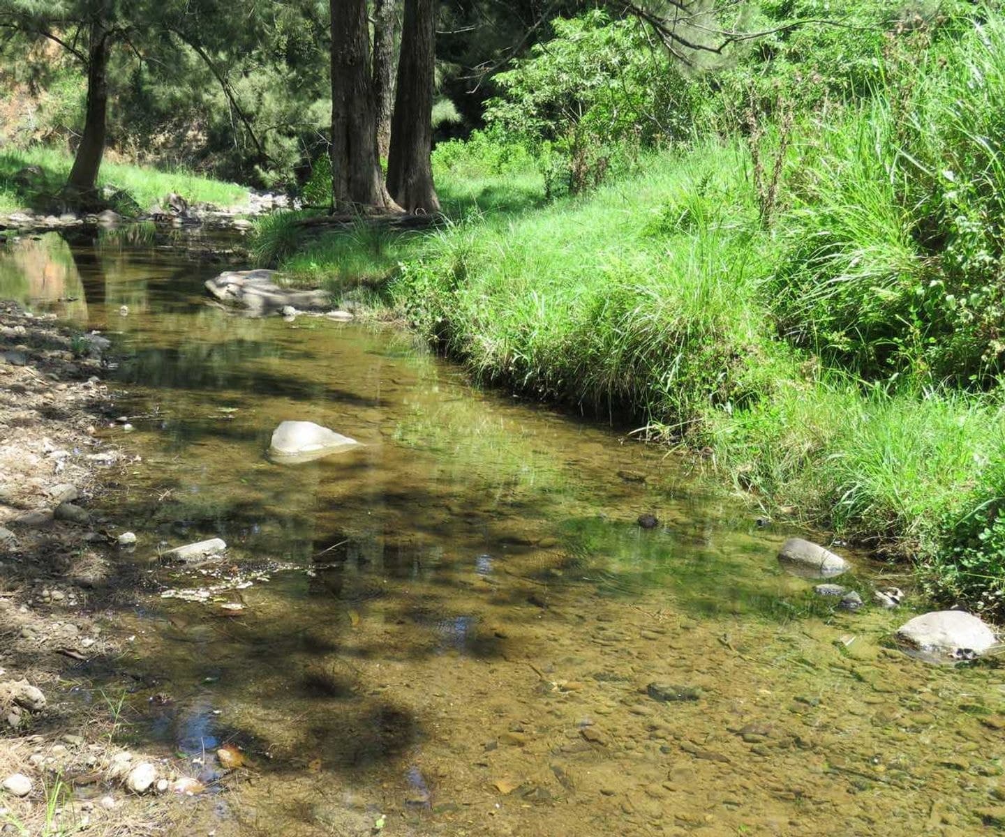 1 Razorback Road, Theresa Creek - Thumbnail 5