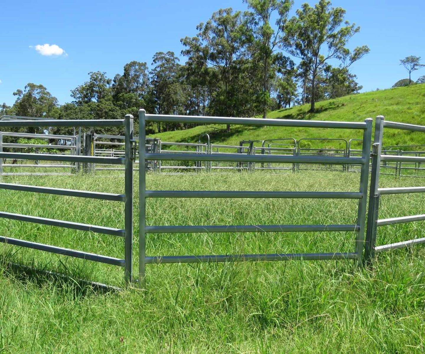 1 Razorback Road, Theresa Creek - Thumbnail 7