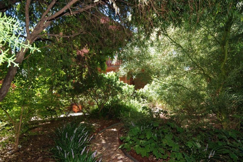 3 Constantine Court, ROSTREVOR SA 5073, Rostrevor - Thumbnail 8