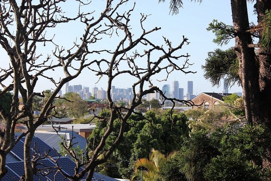 17 Hunter Street, Greenslopes QLD 4120, Greenslopes - Thumbnail 7