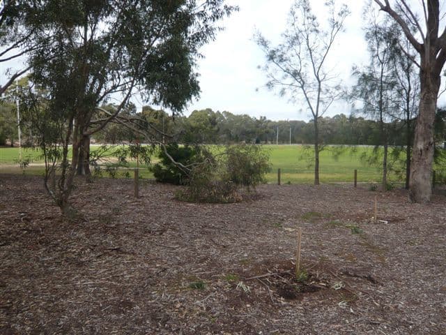 181  George Street, PARADISE SA 5075, Paradise - Thumbnail 3