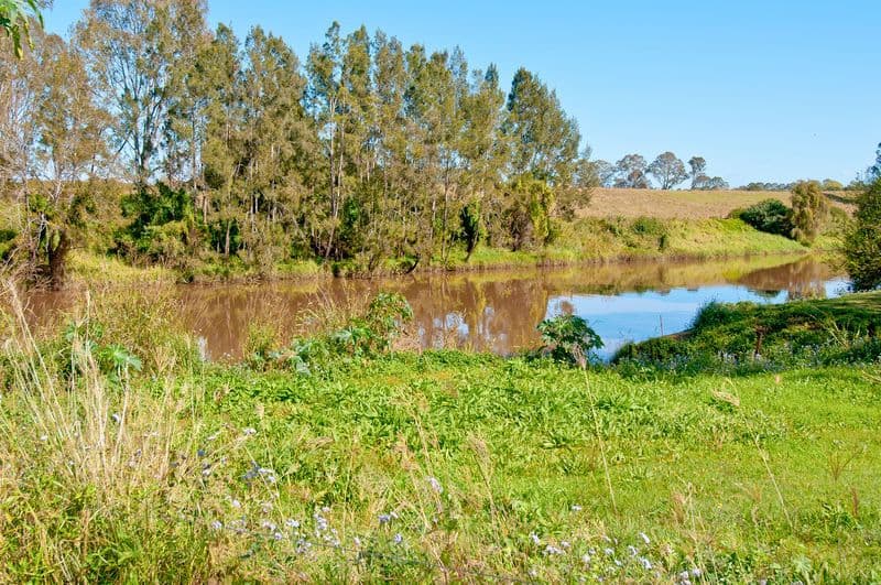 9 Louise Street, WATERFORD WEST QLD 4133, Waterford West - Thumbnail 2