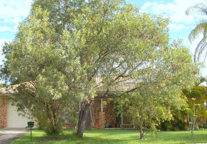 63 Phillip Parade, DECEPTION BAY QLD 4508, Deception Bay - Thumbnail 4