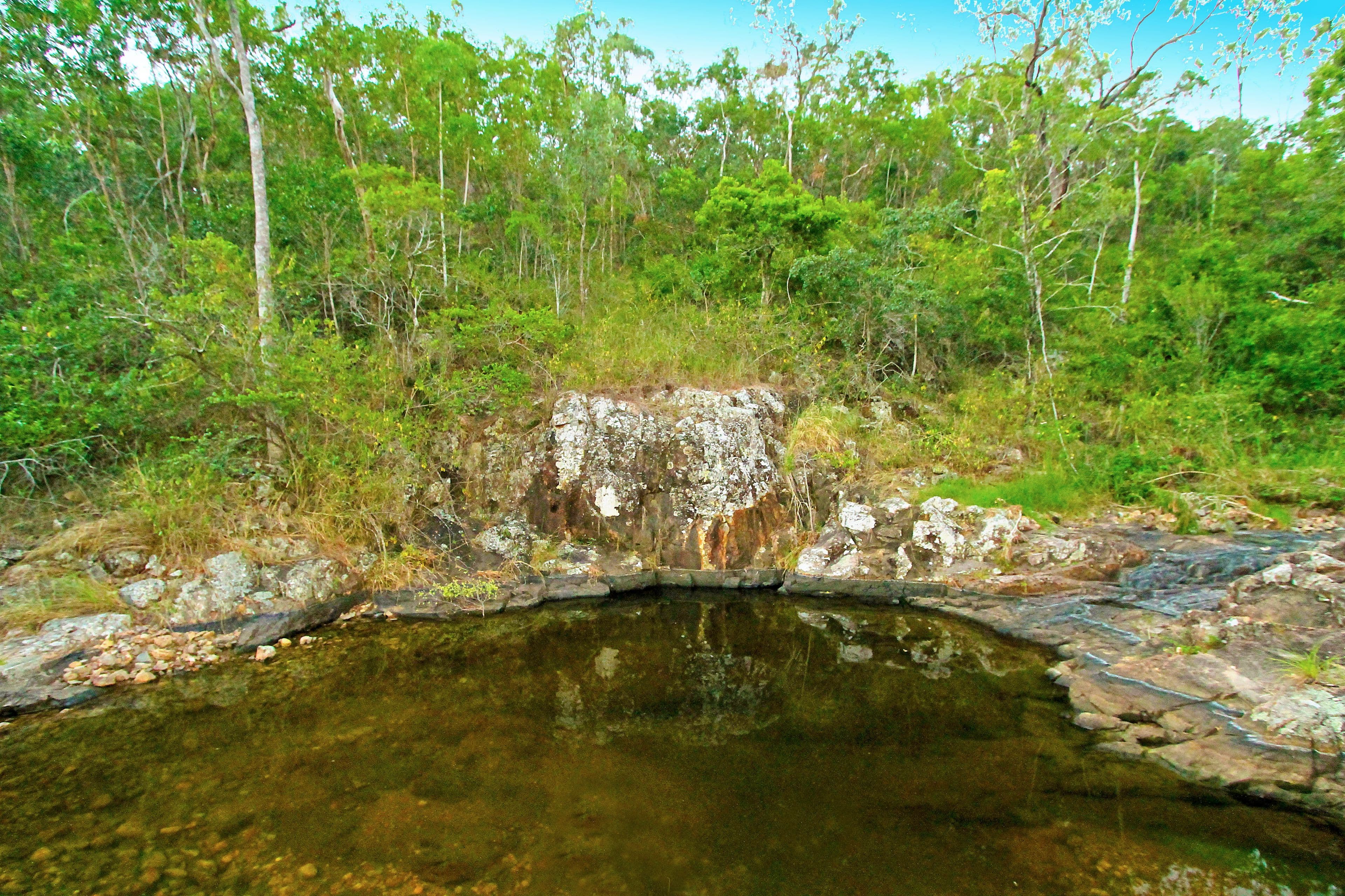 23 Constantia Crescent, Frenchville QLD 4701, Frenchville - Thumbnail 5