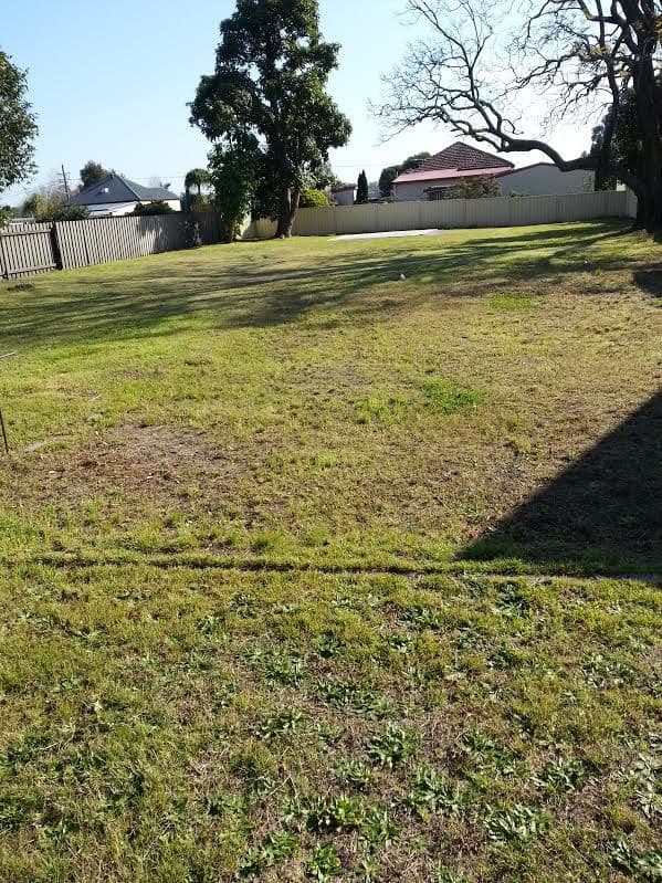 41 First Street, Weston NSW 2326, Weston - Thumbnail 2