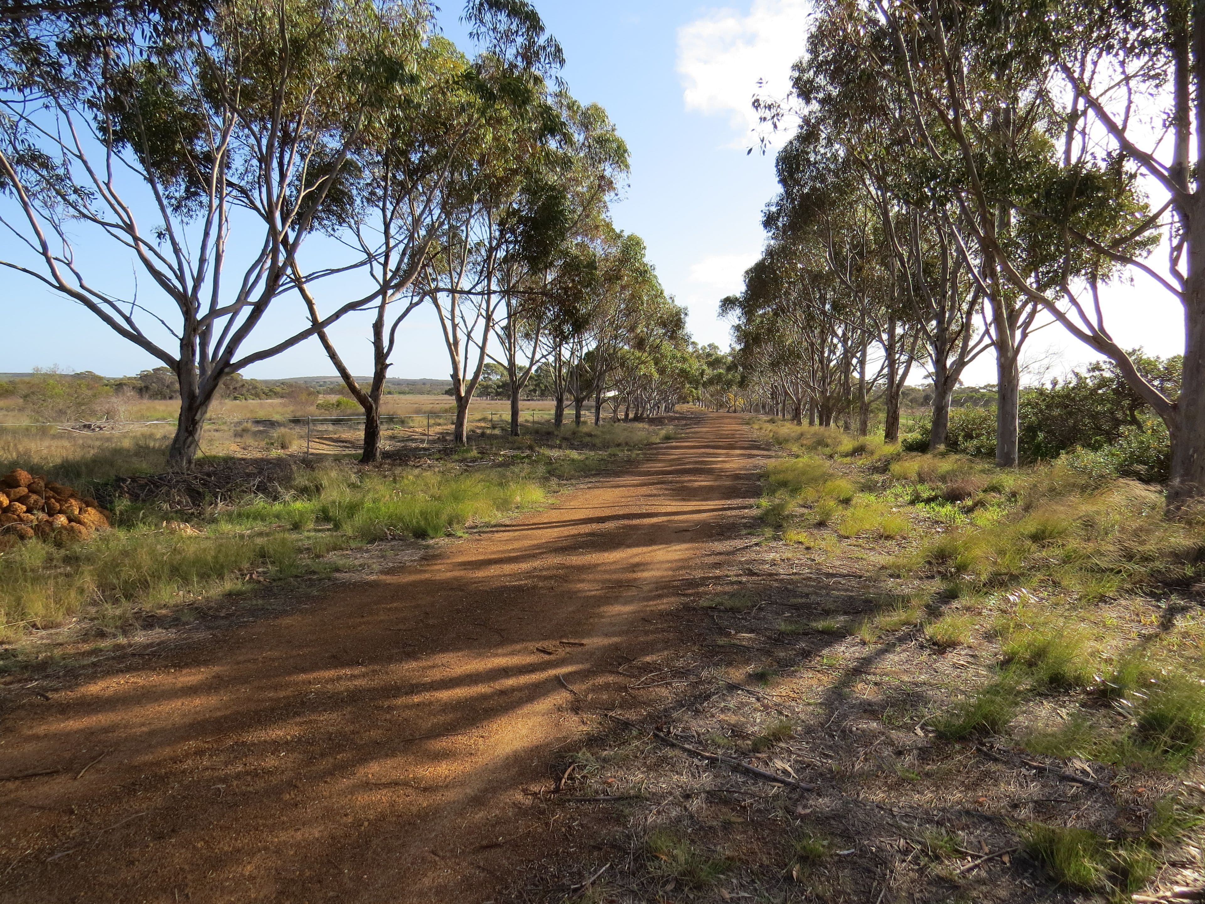 214 Jones Road, Hopetoun WA 6348, Hopetoun - Thumbnail 3