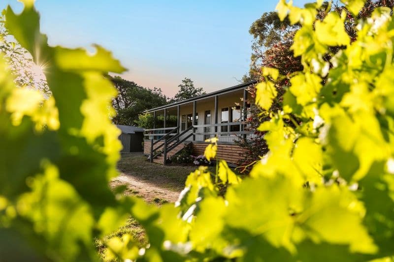 5 Roan Lane, Kangarilla SA 5157, Kangarilla - Thumbnail 7