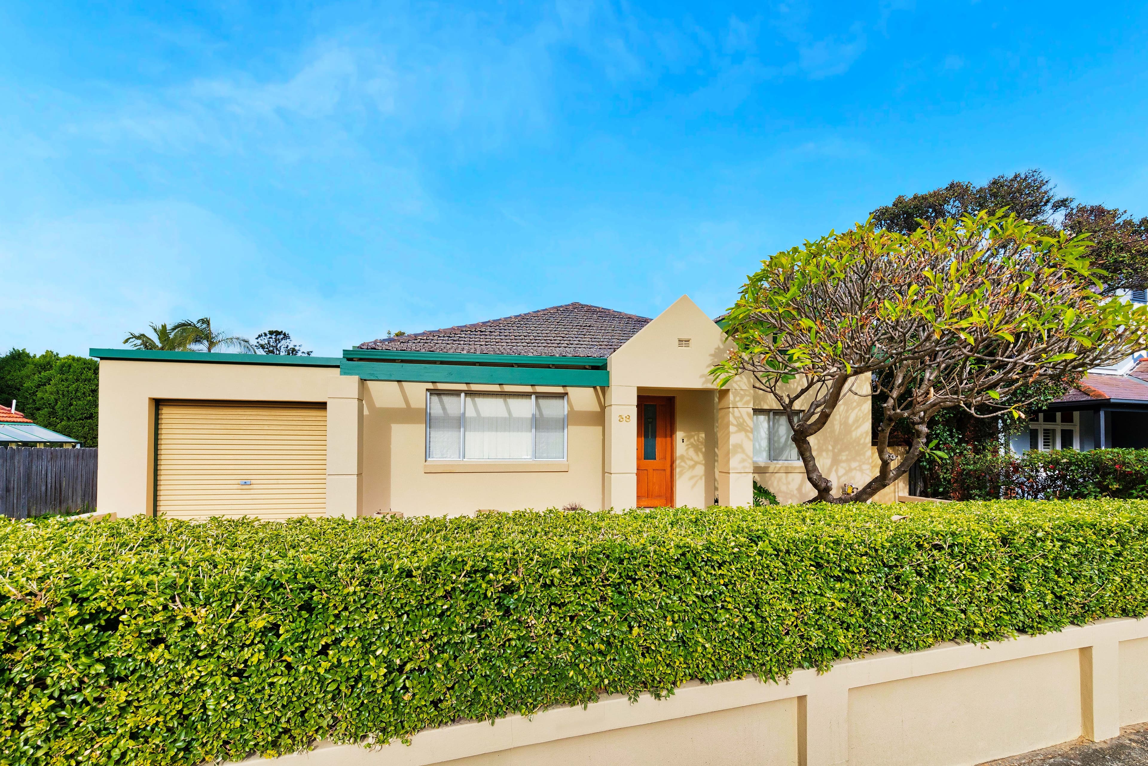 38 Ashburn Place, Gladesville - Thumbnail 3