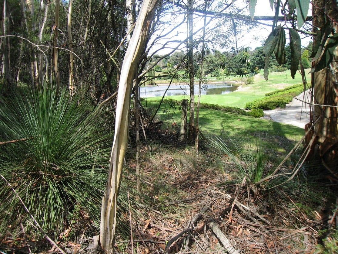 43-45 Hargraves Street, Blackheath NSW 2785, Blackheath - Thumbnail 2